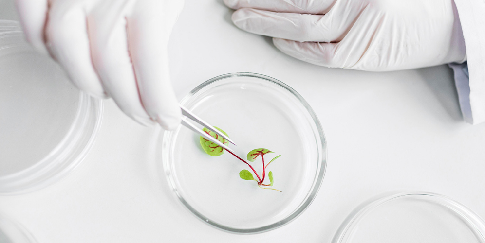 GI testing service
in the product